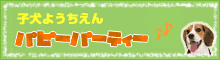 q悤@ps[p[eB[@J