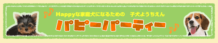 Happyȉƒ댢ɂȂ邽߂́@q悤@ps[p[eB[@J